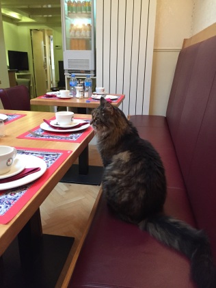 He sits right in front of the table setting
