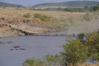 Frantic crossing with hippos not far away