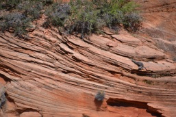 Layers of rock
